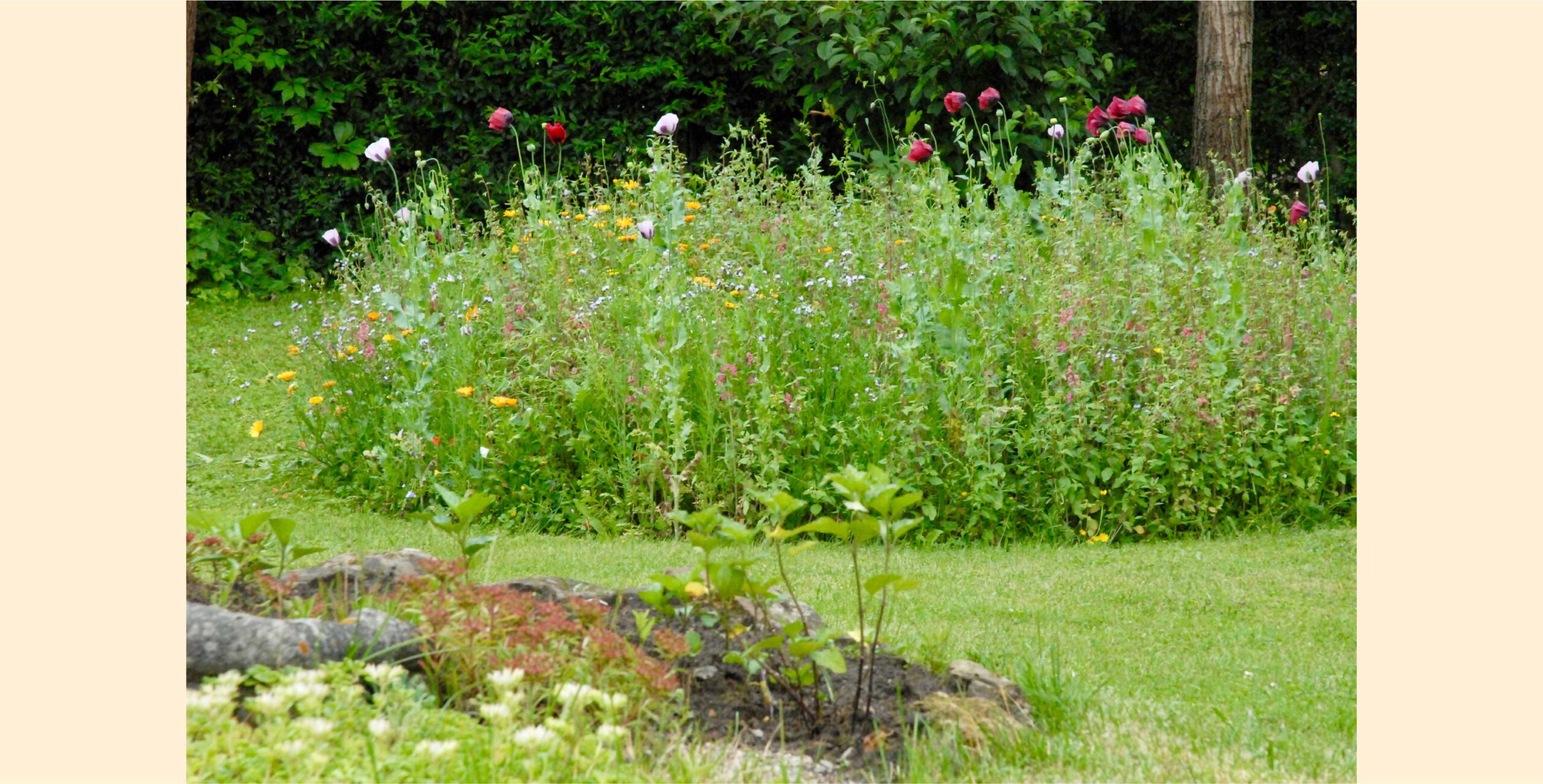 Gartenausstellung