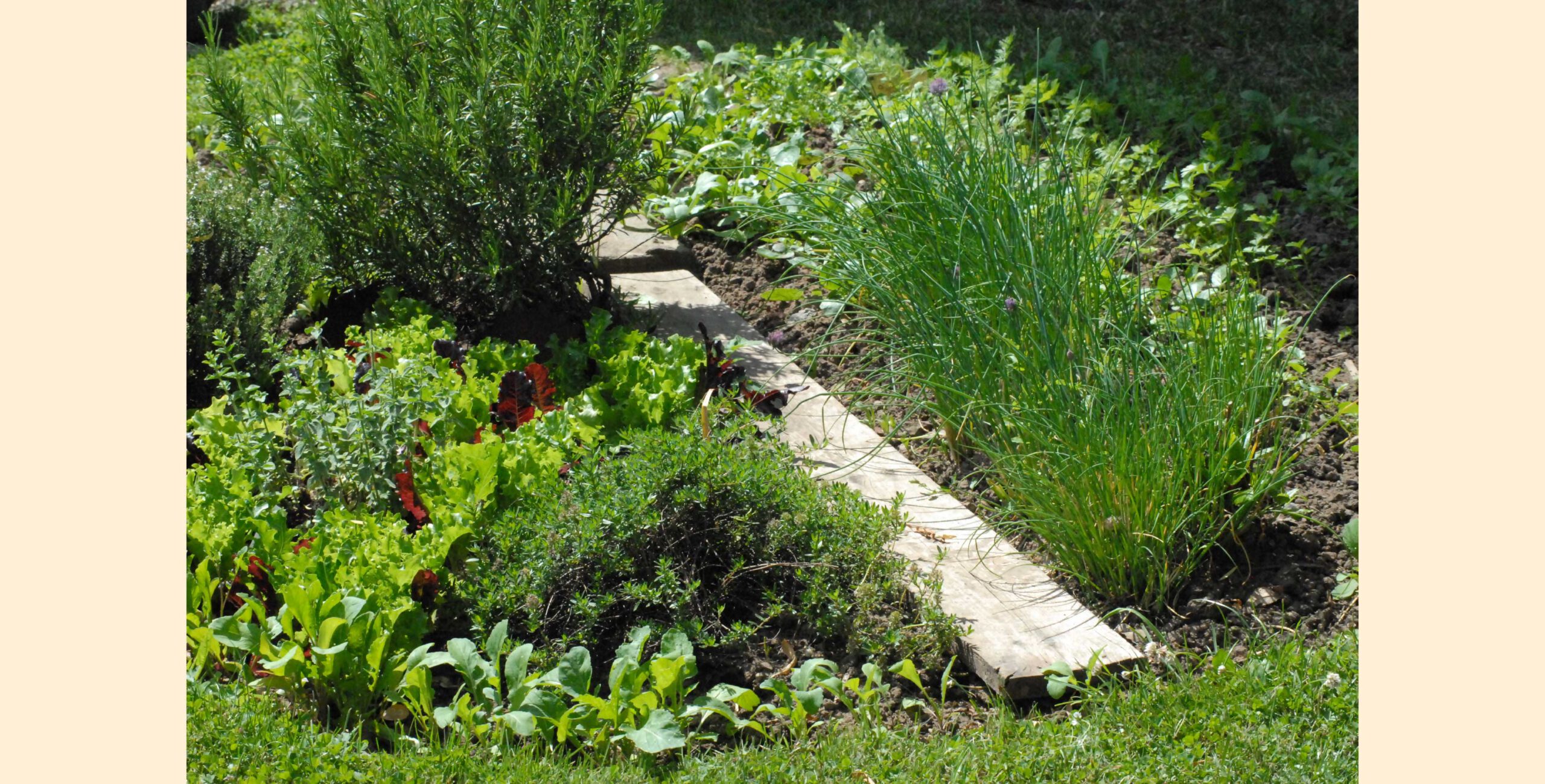 Gartenausstellung