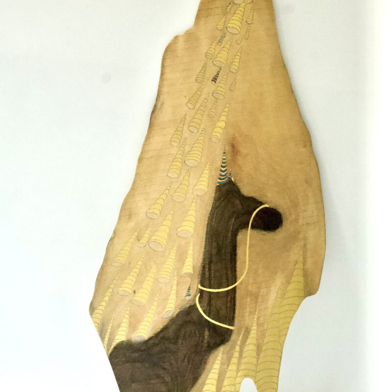 Die Auferstehung der Hörnchen